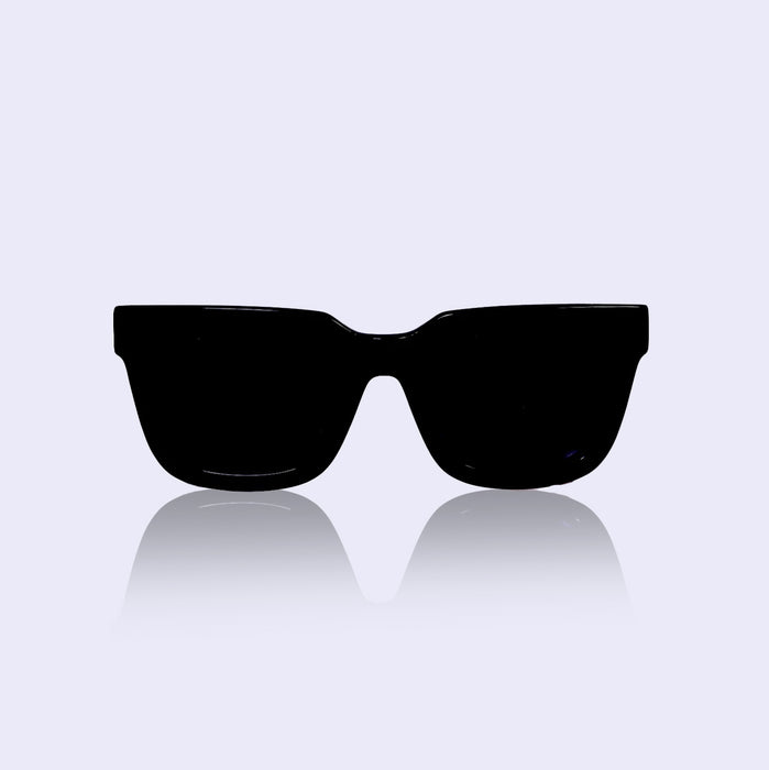 Isidore wayfarer sunglasses